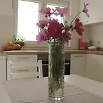 Apartament S Pogledom Ždrelac