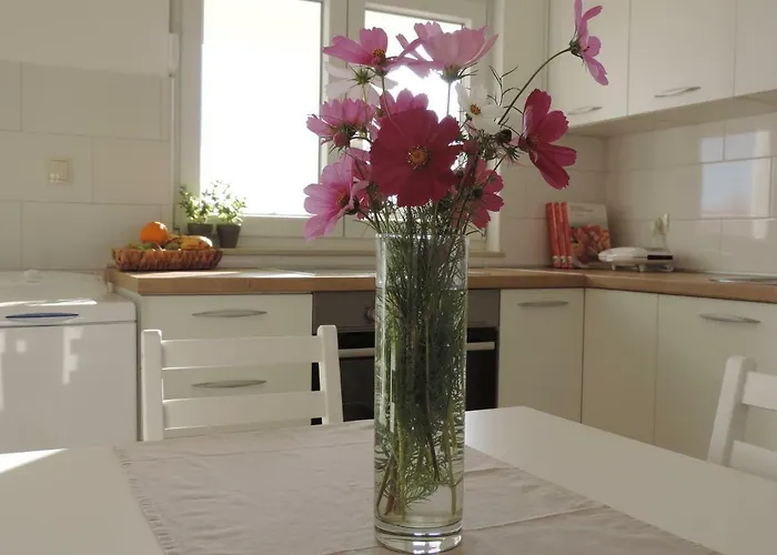 Apartman S Pogledom Zdrelac