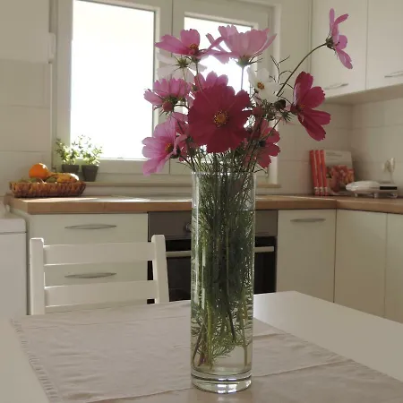 Apartment S Pogledom Ždrelac